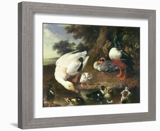 Farmyard Ducks-Melchior de Hondecoeter-Framed Giclee Print