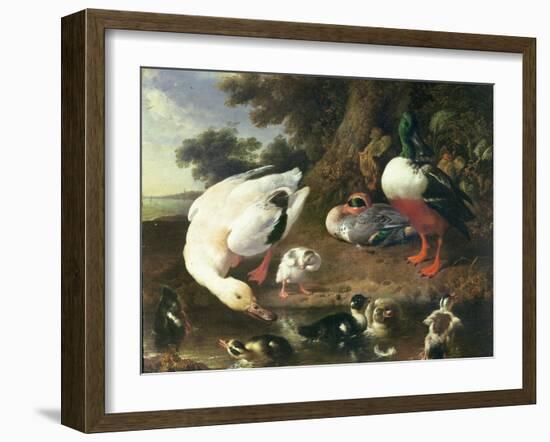 Farmyard Ducks-Melchior de Hondecoeter-Framed Giclee Print