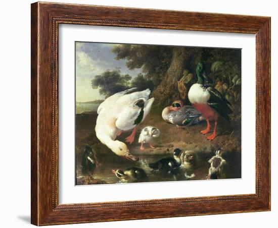 Farmyard Ducks-Melchior de Hondecoeter-Framed Giclee Print