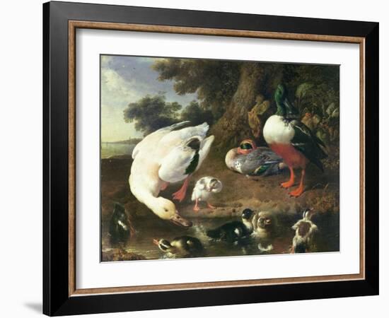 Farmyard Ducks-Melchior de Hondecoeter-Framed Giclee Print