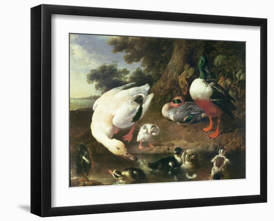 Farmyard Ducks-Melchior de Hondecoeter-Framed Giclee Print