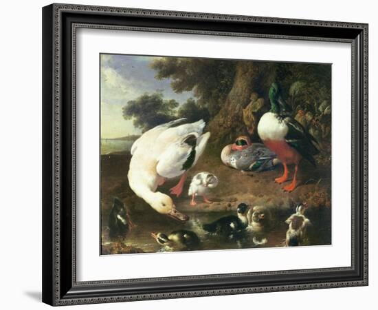 Farmyard Ducks-Melchior de Hondecoeter-Framed Giclee Print