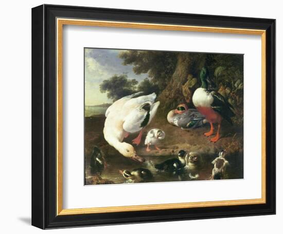 Farmyard Ducks-Melchior de Hondecoeter-Framed Giclee Print