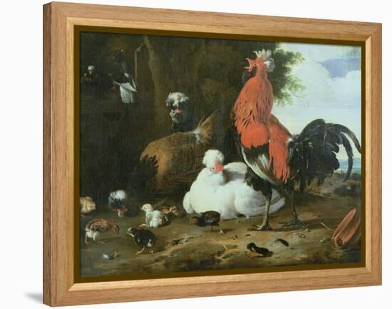 Farmyard Fowls with Pigeons-Melchior de Hondecoeter-Framed Premier Image Canvas