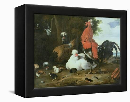 Farmyard Fowls with Pigeons-Melchior de Hondecoeter-Framed Premier Image Canvas