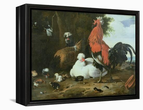 Farmyard Fowls with Pigeons-Melchior de Hondecoeter-Framed Premier Image Canvas