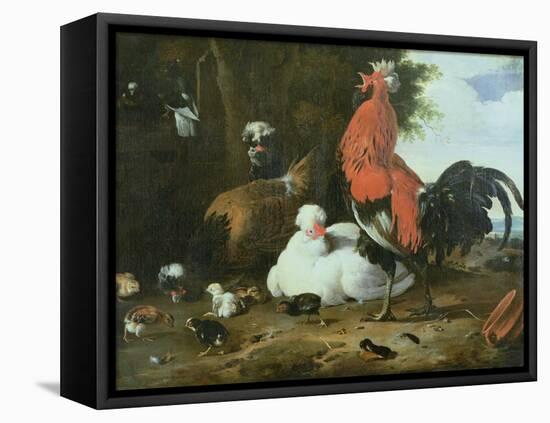 Farmyard Fowls with Pigeons-Melchior de Hondecoeter-Framed Premier Image Canvas