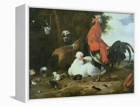 Farmyard Fowls with Pigeons-Melchior de Hondecoeter-Framed Premier Image Canvas