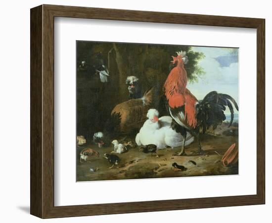 Farmyard Fowls with Pigeons-Melchior de Hondecoeter-Framed Giclee Print