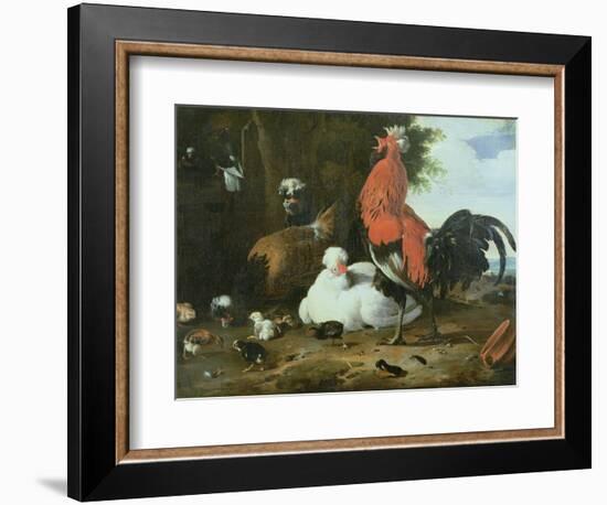 Farmyard Fowls with Pigeons-Melchior de Hondecoeter-Framed Giclee Print