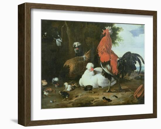 Farmyard Fowls with Pigeons-Melchior de Hondecoeter-Framed Giclee Print