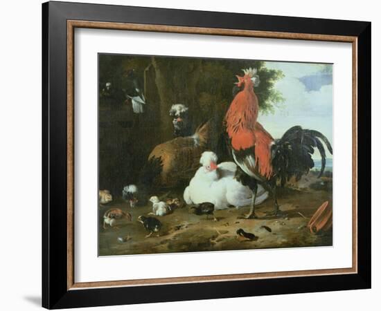 Farmyard Fowls with Pigeons-Melchior de Hondecoeter-Framed Giclee Print