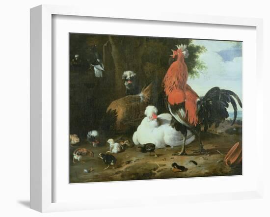 Farmyard Fowls with Pigeons-Melchior de Hondecoeter-Framed Giclee Print