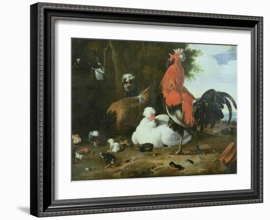 Farmyard Fowls with Pigeons-Melchior de Hondecoeter-Framed Giclee Print