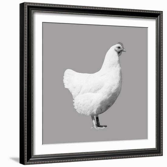 Farmyard Pop-Eccentric Accents-Framed Art Print