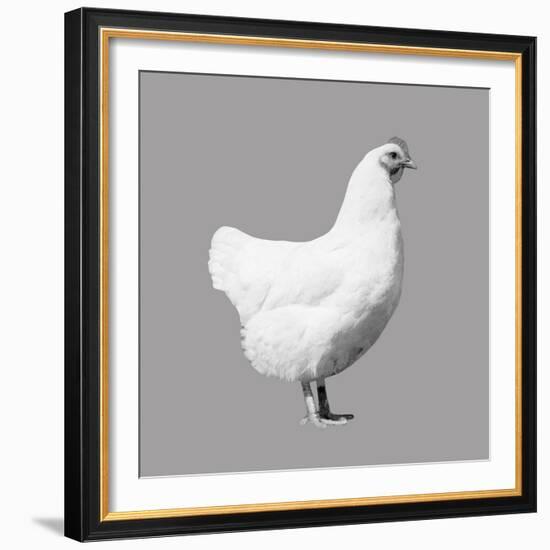 Farmyard Pop-Eccentric Accents-Framed Art Print