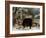 Farmyard Scene-John Frederick Herring I-Framed Giclee Print