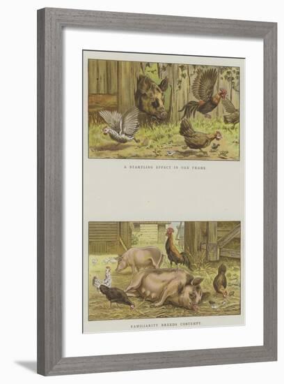 Farmyard Scenes-S.t. Dadd-Framed Giclee Print