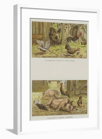 Farmyard Scenes-S.t. Dadd-Framed Giclee Print