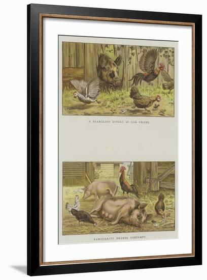 Farmyard Scenes-S.t. Dadd-Framed Giclee Print