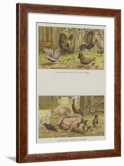 Farmyard Scenes-S.t. Dadd-Framed Giclee Print