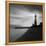 Faro BN-Moises Levy-Framed Premier Image Canvas
