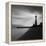 Faro BN-Moises Levy-Framed Premier Image Canvas