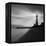 Faro BN-Moises Levy-Framed Premier Image Canvas