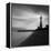 Faro BN-Moises Levy-Framed Premier Image Canvas