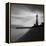 Faro BN-Moises Levy-Framed Premier Image Canvas