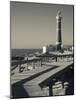 Faro Jose Ignacio, Atlantic Ocean Resort Town, Village Lighthouse, Uruguay-Walter Bibikow-Mounted Photographic Print