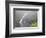 Faroes, Streymoy, Saksun, scenery-olbor-Framed Photographic Print