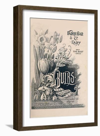 Farquar-Vintage Apple Collection-Framed Giclee Print