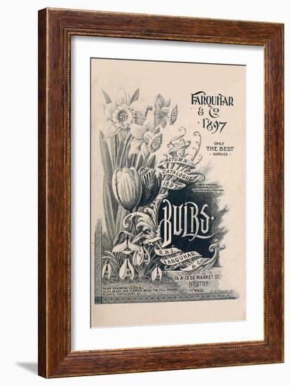 Farquar-Vintage Apple Collection-Framed Giclee Print