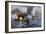 Farragut's Flagship USS "Hartford" Colliding with the Ironclad CSS "Tennessee", 1864-null-Framed Giclee Print