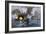 Farragut's Flagship USS "Hartford" Colliding with the Ironclad CSS "Tennessee", 1864-null-Framed Giclee Print