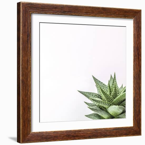 Fasciata-Assaf Frank-Framed Giclee Print