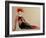 Fashion 3, 2016-Susan Adams-Framed Giclee Print