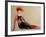 Fashion 3, 2016-Susan Adams-Framed Giclee Print