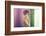 Fashion Art Photo of Young Sensual Lady in Classical Interior-George Mayer-Framed Photographic Print