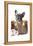 Fashion Bag with Frenchie II-Amanda Greenwood-Framed Stretched Canvas