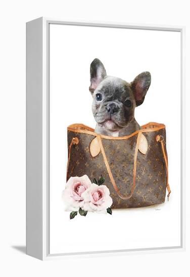 Fashion Bag with Frenchie II-Amanda Greenwood-Framed Stretched Canvas