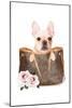 Fashion Bag with Frenchie-Amanda Greenwood-Mounted Art Print