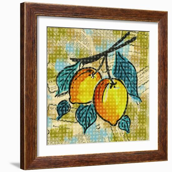 Fashion Fruit II-Nicholas Biscardi-Framed Art Print