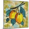 Fashion Fruit II-Nicholas Biscardi-Mounted Art Print