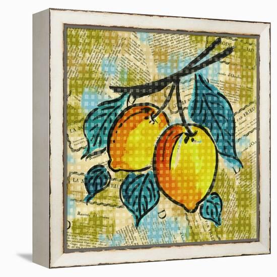 Fashion Fruit II-Nicholas Biscardi-Framed Stretched Canvas