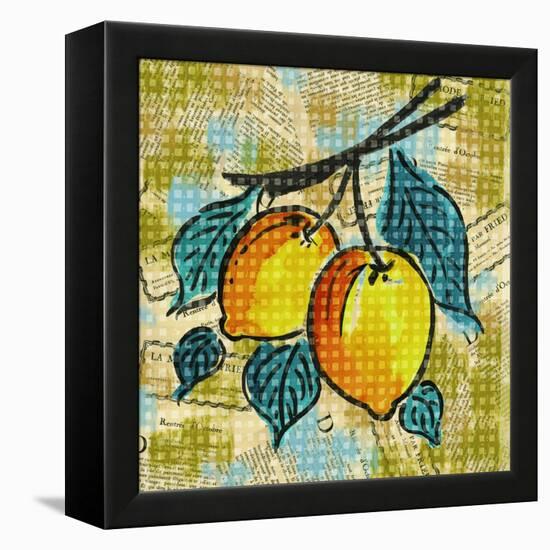 Fashion Fruit II-Nicholas Biscardi-Framed Stretched Canvas