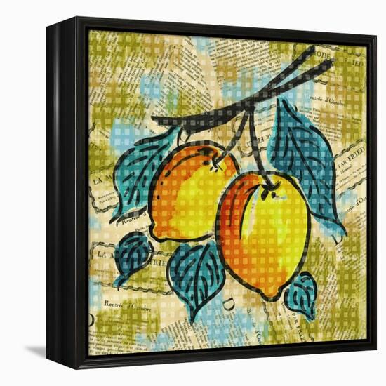 Fashion Fruit II-Nicholas Biscardi-Framed Stretched Canvas