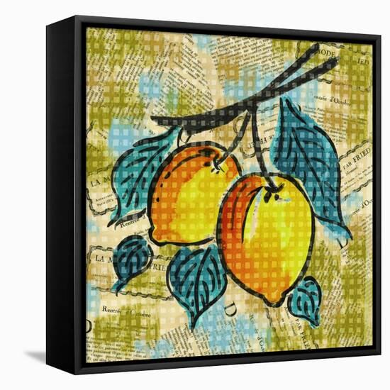 Fashion Fruit II-Nicholas Biscardi-Framed Stretched Canvas