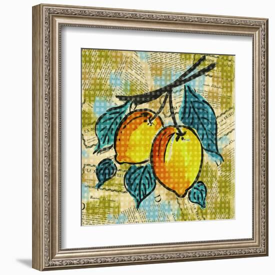 Fashion Fruit II-Nicholas Biscardi-Framed Art Print